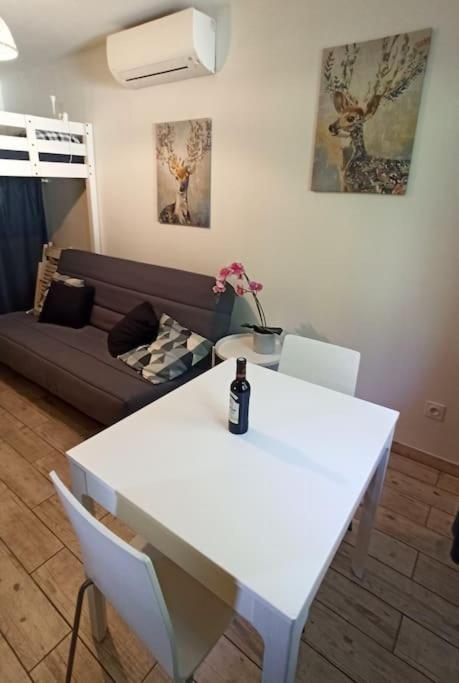 Apartment T1 Cosy Sanguinet: Lakeside Retreat Near Ocean And Dune Du Pyla Sanguinet