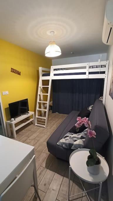 T1 Cosy Sanguinet: Lakeside Retreat Near Ocean And Dune Du Pyla Apartment *