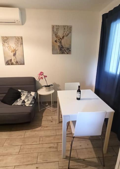 Apartment T1 Cosy Sanguinet: Lakeside Retreat Near Ocean And Dune Du Pyla *